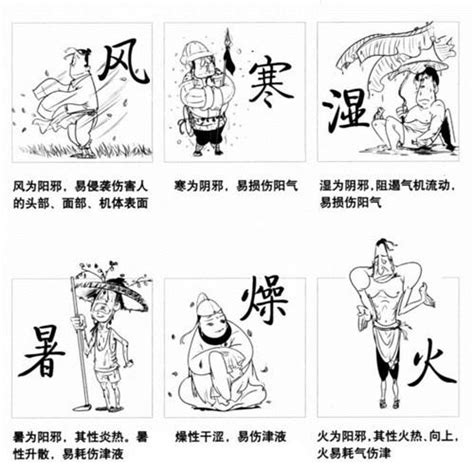 邪氣的人|中醫乾貨｜中醫所說的「正氣」與「邪氣」是指什麼